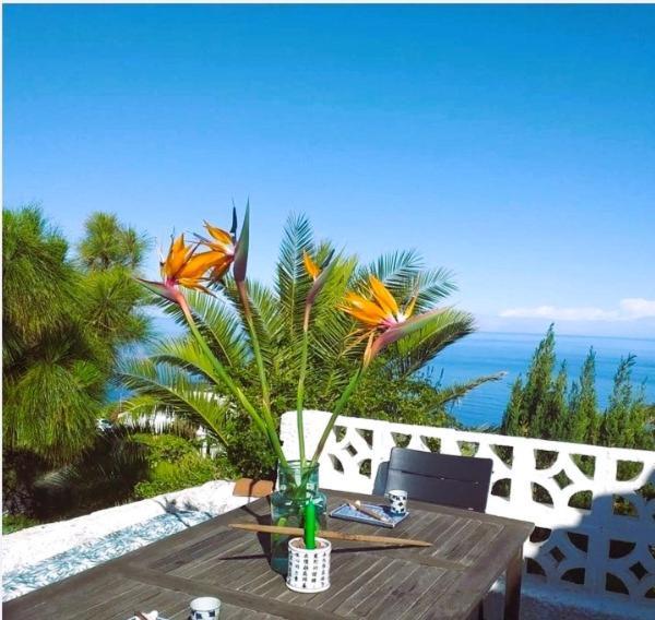 Zenrepublic, Your Private Villa With Outdoor Jacuzzi & Pool With Stunning Ocean Views Puntillo Del Sol Εξωτερικό φωτογραφία